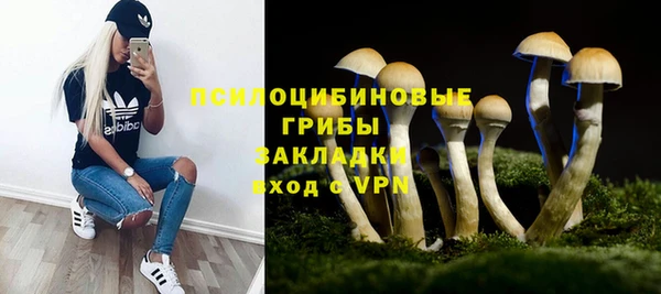 дурь Дмитров