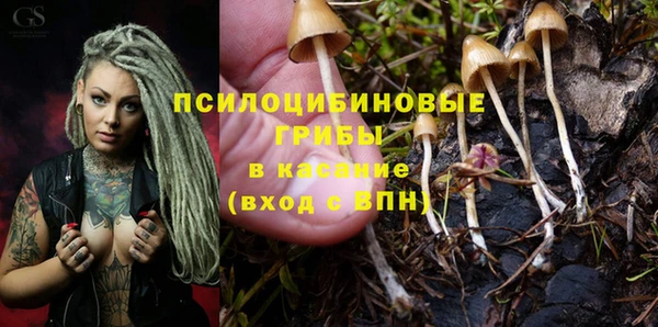 каннабис Гусь-Хрустальный