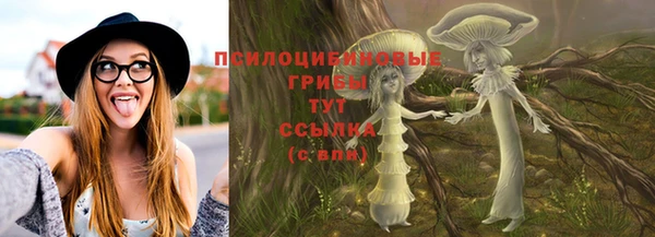 эйфоретик Дмитриев
