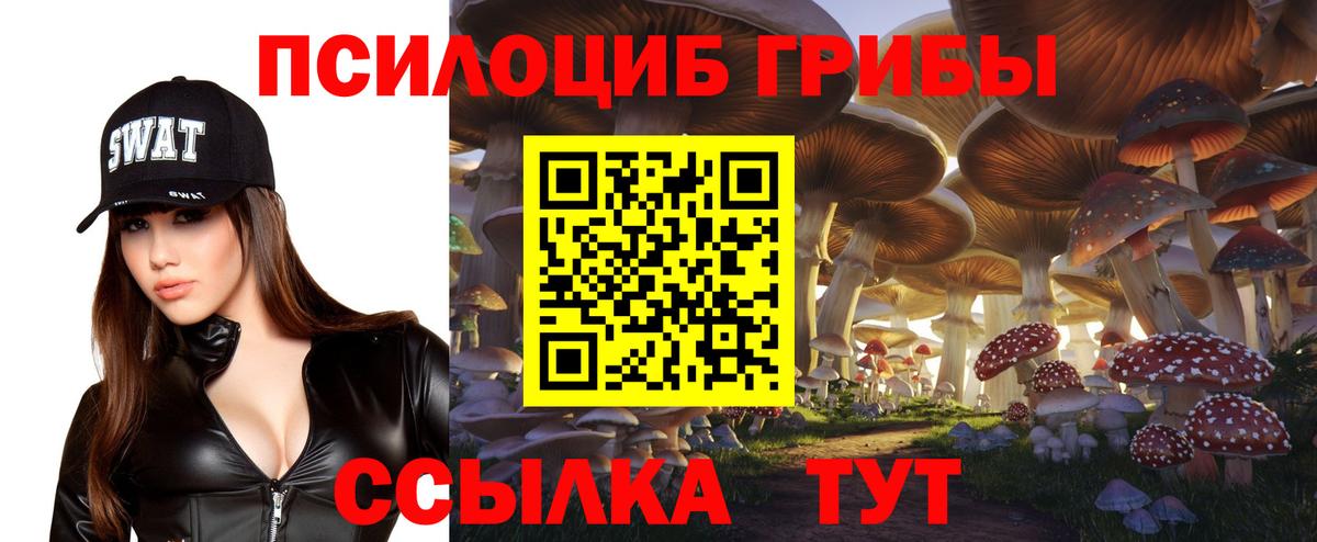 Псилоцибиновые грибы мицелий Каменск-Шахтинский
