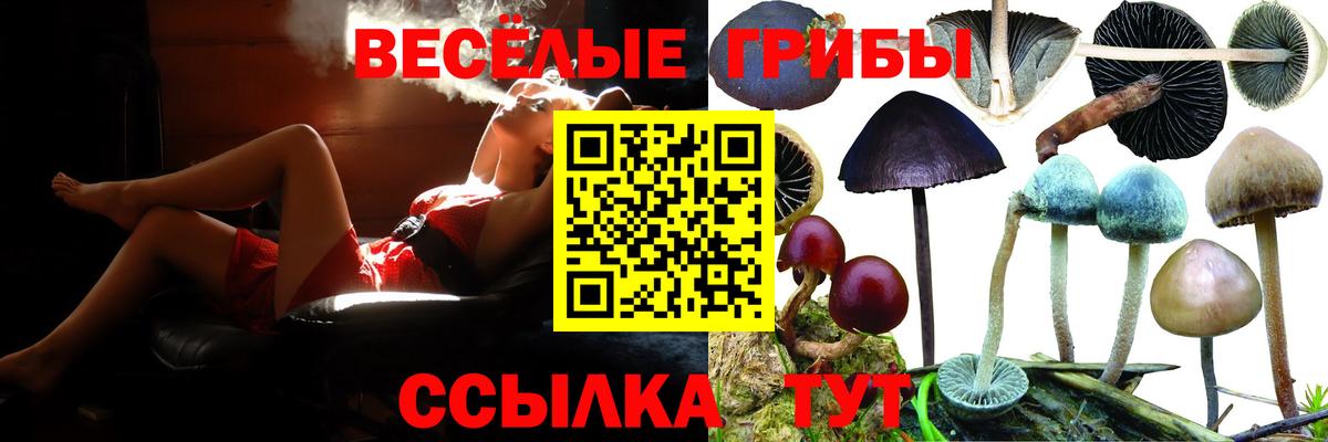 Каменск-Шахтинский  Псилоцибиновые грибы MAGIC MUSHROOMS  Псилоцибиновые грибы мицелий  Вход с VPN 